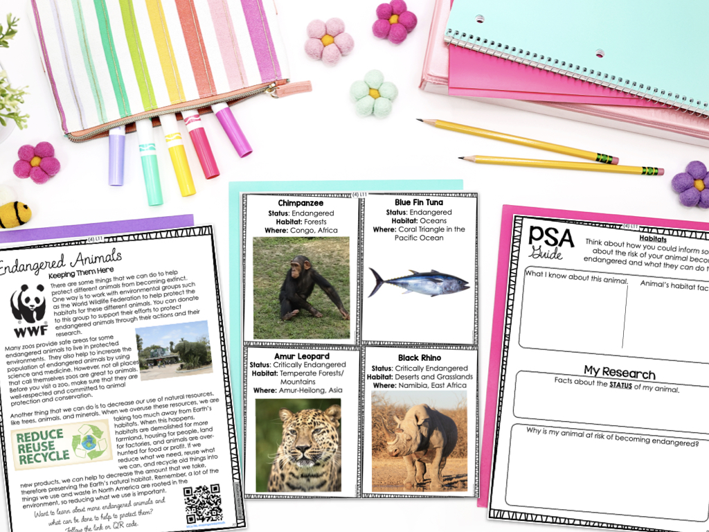 Grade 4 Product Images.001